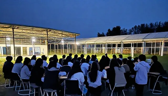 技术支持选型中的适用条件如何影响实际效果